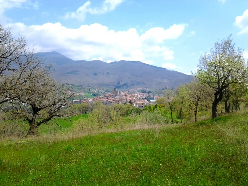 Amiata Immobiliare - Annuncio rif.AZ 122 - AGENZIA IMMOBILIARE AMIATA - Case in vendita sul Monte Amiata - Affitti - Ville casali appartamenti in affitto - appartamenti in vendita sull amiata - REAL ESTATE