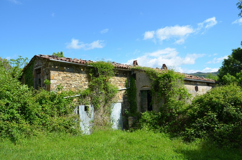 Amiata Immobiliare - Annuncio rif.AZ 153 - AGENZIA IMMOBILIARE AMIATA - Case in vendita sul Monte Amiata - Affitti - Ville casali appartamenti in affitto - appartamenti in vendita sull amiata - REAL ESTATE