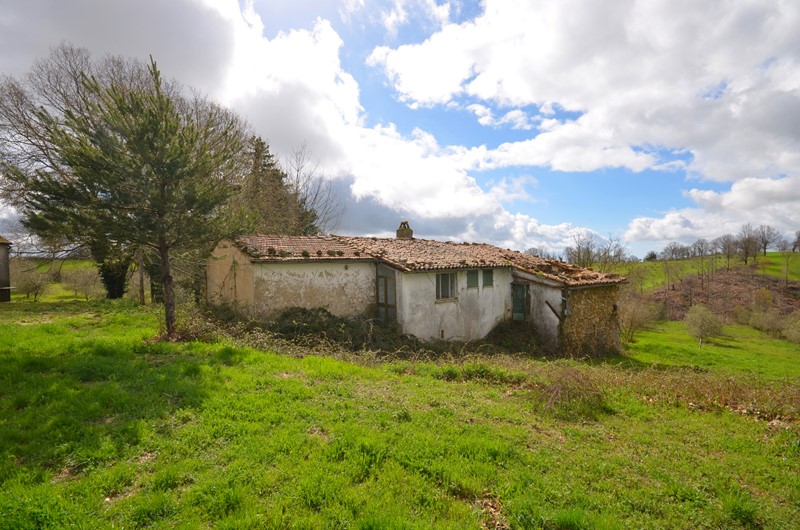 Amiata Immobiliare - Annuncio rif.Az 184 - AGENZIA IMMOBILIARE AMIATA - Case in vendita sul Monte Amiata - Affitti - Ville casali appartamenti in affitto - appartamenti in vendita sull amiata - REAL ESTATE