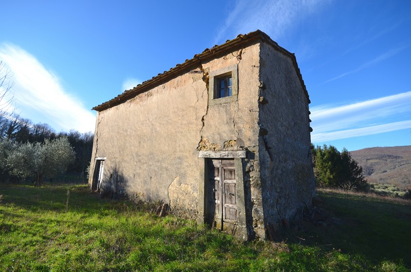 Amiata Immobiliare - Annuncio rif.AZ 217 - AGENZIA IMMOBILIARE AMIATA - Case in vendita sul Monte Amiata - Affitti - Ville casali appartamenti in affitto - appartamenti in vendita sull amiata - REAL ESTATE