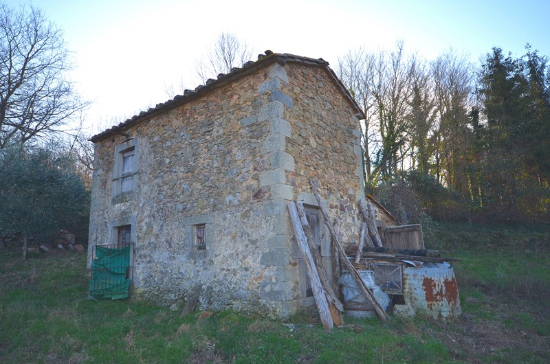 Amiata Immobiliare - Annuncio rif.Az 218 - AGENZIA IMMOBILIARE AMIATA - Case in vendita sul Monte Amiata - Affitti - Ville casali appartamenti in affitto - appartamenti in vendita sull amiata - REAL ESTATE