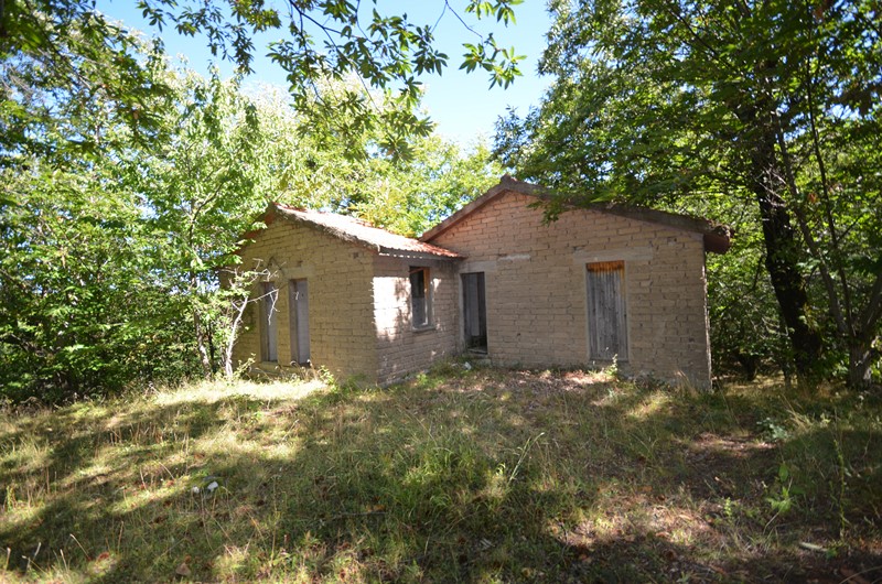 Amiata Immobiliare - Annuncio rif.AZ 172 - AGENZIA IMMOBILIARE AMIATA - Case in vendita sul Monte Amiata - Affitti - Ville casali appartamenti in affitto - appartamenti in vendita sull amiata - REAL ESTATE