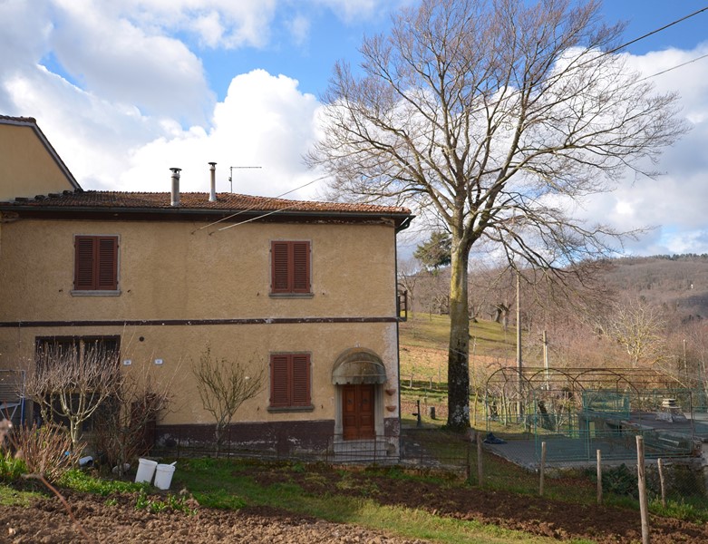 Amiata Immobiliare - Annuncio rif.A 313 - AGENZIA IMMOBILIARE AMIATA - Case in vendita sul Monte Amiata - Affitti - Ville casali appartamenti in affitto - appartamenti in vendita sull amiata - REAL ESTATE