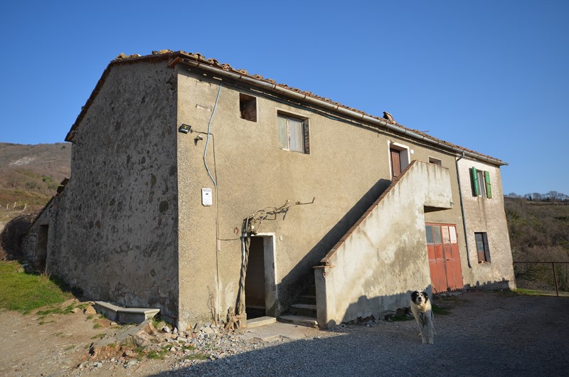 Amiata Immobiliare - Annuncio rif.AZ 87 - AGENZIA IMMOBILIARE AMIATA - Case in vendita sul Monte Amiata - Affitti - Ville casali appartamenti in affitto - appartamenti in vendita sull amiata - REAL ESTATE