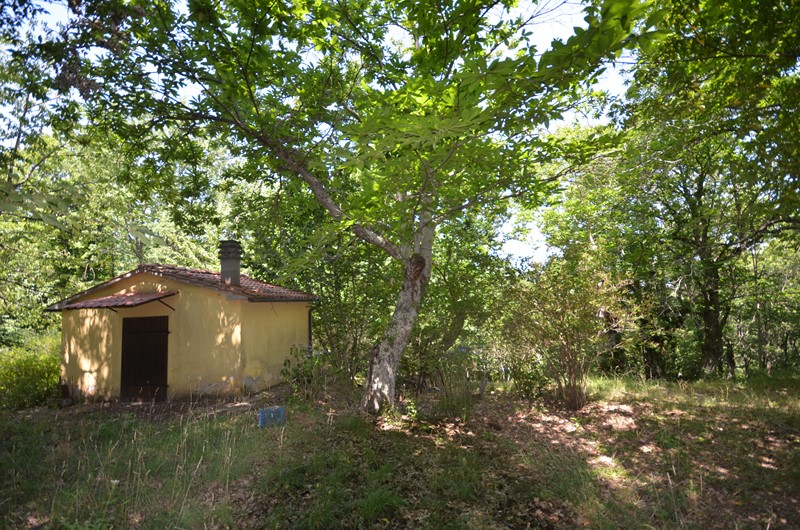 Amiata Immobiliare - Annuncio rif.Az 227 - AGENZIA IMMOBILIARE AMIATA - Case in vendita sul Monte Amiata - Affitti - Ville casali appartamenti in affitto - appartamenti in vendita sull amiata - REAL ESTATE