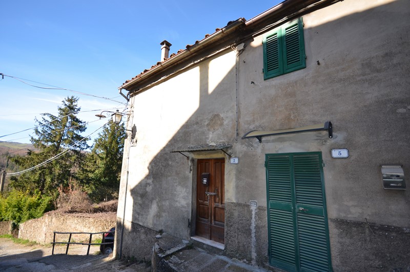 Amiata Immobiliare - Annuncio rif.A 248 - AGENZIA IMMOBILIARE AMIATA - Case in vendita sul Monte Amiata - Affitti - Ville casali appartamenti in affitto - appartamenti in vendita sull amiata - REAL ESTATE