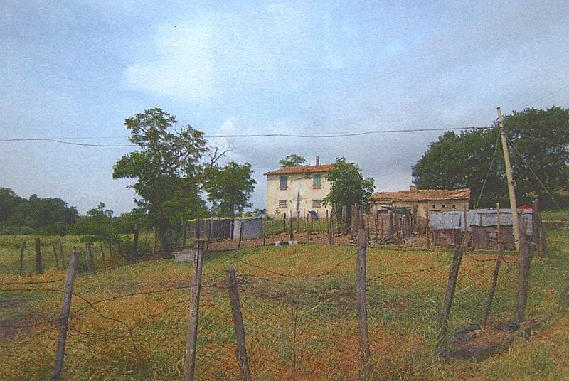 Amiata Immobiliare - Annuncio rif.Az 5 - AGENZIA IMMOBILIARE AMIATA - Case in vendita sul Monte Amiata - Affitti - Ville casali appartamenti in affitto - appartamenti in vendita sull amiata - REAL ESTATE