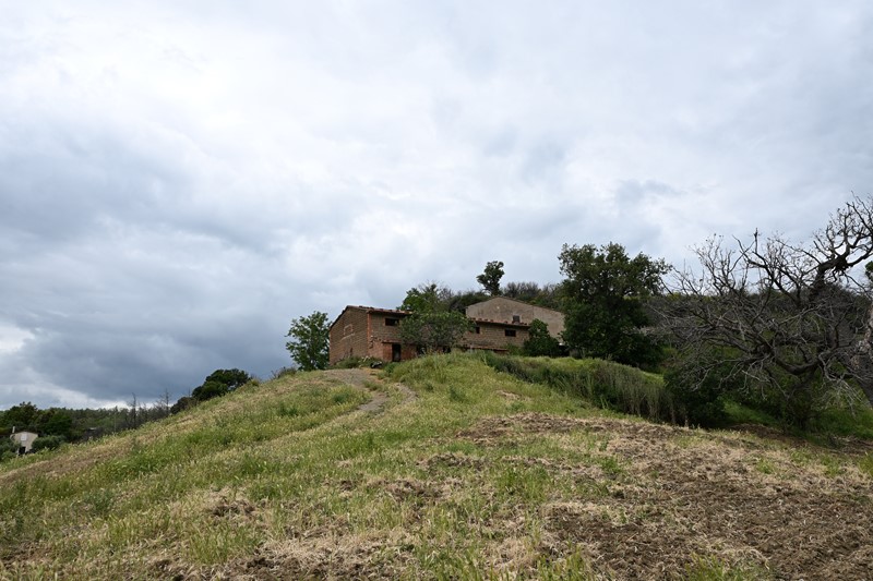 Amiata Immobiliare - Annuncio rif.AZ 258 - AGENZIA IMMOBILIARE AMIATA - Case in vendita sul Monte Amiata - Affitti - Ville casali appartamenti in affitto - appartamenti in vendita sull amiata - REAL ESTATE