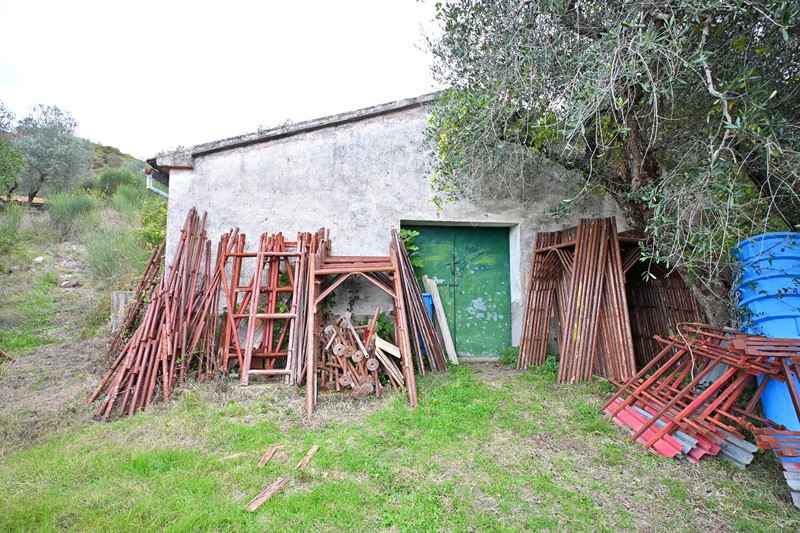 Amiata Immobiliare - Annuncio rif.AZ 260 - AGENZIA IMMOBILIARE AMIATA - Case in vendita sul Monte Amiata - Affitti - Ville casali appartamenti in affitto - appartamenti in vendita sull amiata - REAL ESTATE