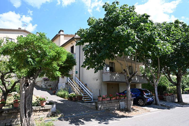 Amiata Immobiliare - Annuncio rif.CN 39 - AGENZIA IMMOBILIARE AMIATA - Case in vendita sul Monte Amiata - Affitti - Ville casali appartamenti in affitto - appartamenti in vendita sull amiata - REAL ESTATE