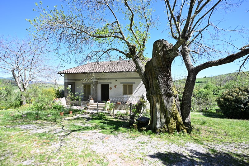 Amiata Immobiliare - Annuncio rif.AZ 266 - AGENZIA IMMOBILIARE AMIATA - Case in vendita sul Monte Amiata - Affitti - Ville casali appartamenti in affitto - appartamenti in vendita sull amiata - REAL ESTATE