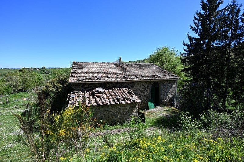 Amiata Immobiliare - Annuncio rif.AZ 267 - AGENZIA IMMOBILIARE AMIATA - Case in vendita sul Monte Amiata - Affitti - Ville casali appartamenti in affitto - appartamenti in vendita sull amiata - REAL ESTATE