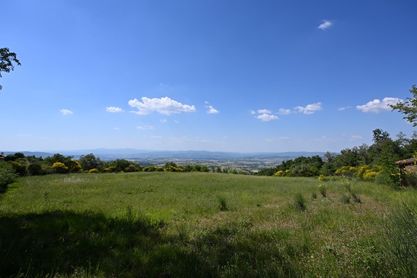 Amiata Immobiliare - Annuncio rif.AZ 66 - AGENZIA IMMOBILIARE AMIATA - Case in vendita sul Monte Amiata - Affitti - Ville casali appartamenti in affitto - appartamenti in vendita sull amiata - REAL ESTATE