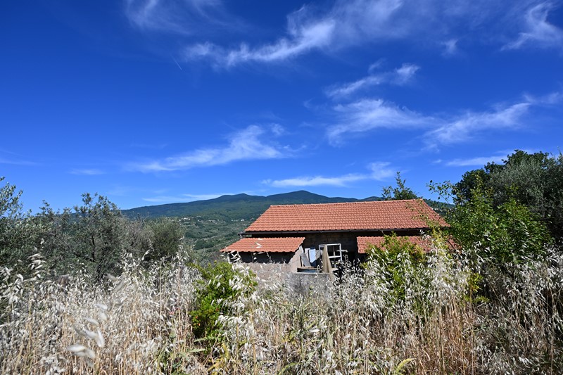 Amiata Immobiliare - Annuncio rif.AZ 270 - AGENZIA IMMOBILIARE AMIATA - Case in vendita sul Monte Amiata - Affitti - Ville casali appartamenti in affitto - appartamenti in vendita sull amiata - REAL ESTATE