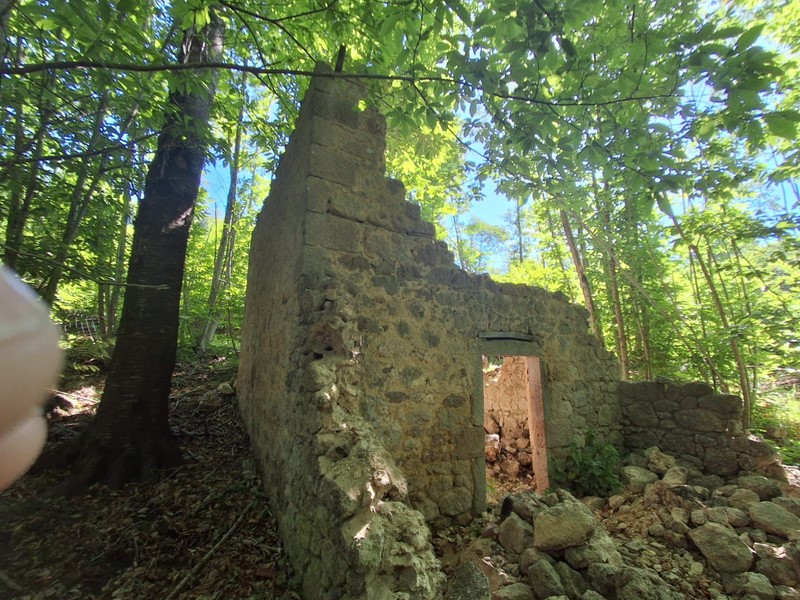 Amiata Immobiliare - Annuncio rif.AZ 103 - AGENZIA IMMOBILIARE AMIATA - Case in vendita sul Monte Amiata - Affitti - Ville casali appartamenti in affitto - appartamenti in vendita sull amiata - REAL ESTATE