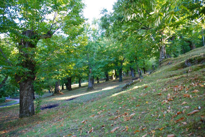 Amiata Immobiliare - Annuncio rif.Az 57 - AGENZIA IMMOBILIARE AMIATA - Case in vendita sul Monte Amiata - Affitti - Ville casali appartamenti in affitto - appartamenti in vendita sull amiata - REAL ESTATE
