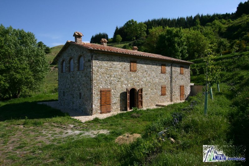 Amiata Immobiliare - Annuncio rif.AZ 46 - AGENZIA IMMOBILIARE AMIATA - Case in vendita sul Monte Amiata - Affitti - Ville casali appartamenti in affitto - appartamenti in vendita sull amiata - REAL ESTATE