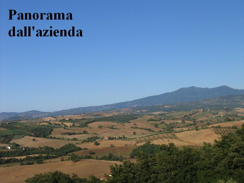 Amiata Immobiliare - Annuncio rif.Az 40 - AGENZIA IMMOBILIARE AMIATA - Case in vendita sul Monte Amiata - Affitti - Ville casali appartamenti in affitto - appartamenti in vendita sull amiata - REAL ESTATE