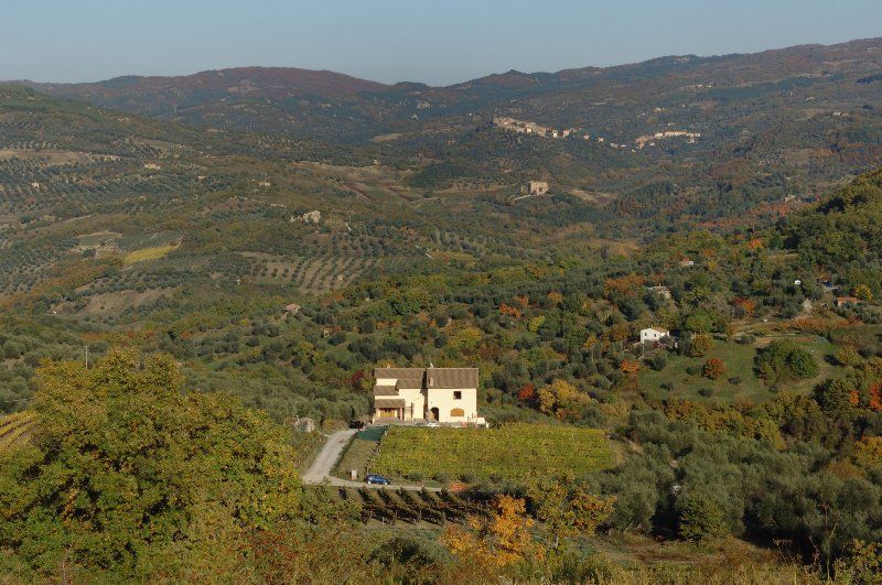 Amiata Immobiliare - Annuncio rif.Az 30 - AGENZIA IMMOBILIARE AMIATA - Case in vendita sul Monte Amiata - Affitti - Ville casali appartamenti in affitto - appartamenti in vendita sull amiata - REAL ESTATE