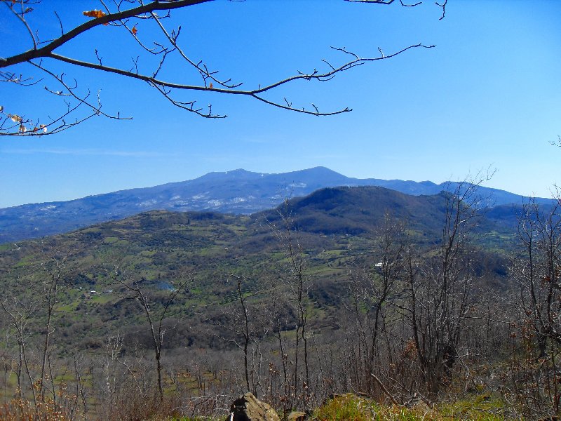 Amiata Immobiliare - Annuncio rif.Az 66 - AGENZIA IMMOBILIARE AMIATA - Case in vendita sul Monte Amiata - Affitti - Ville casali appartamenti in affitto - appartamenti in vendita sull amiata - REAL ESTATE