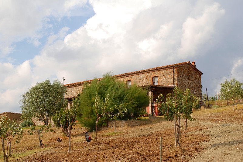 Amiata Immobiliare - Annuncio rif.AZ 42 - AGENZIA IMMOBILIARE AMIATA - Case in vendita sul Monte Amiata - Affitti - Ville casali appartamenti in affitto - appartamenti in vendita sull amiata - REAL ESTATE