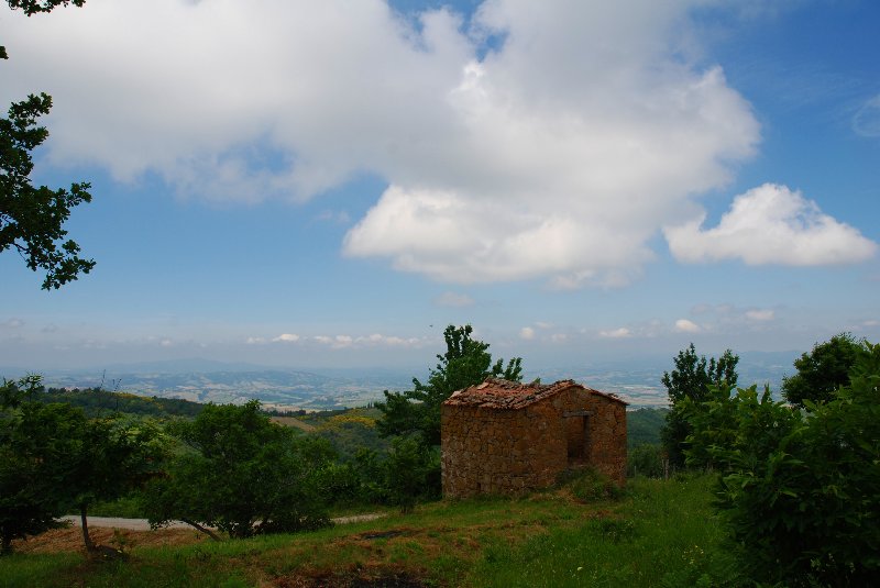 Amiata Immobiliare - Annuncio rif.Az 26 - AGENZIA IMMOBILIARE AMIATA - Case in vendita sul Monte Amiata - Affitti - Ville casali appartamenti in affitto - appartamenti in vendita sull amiata - REAL ESTATE