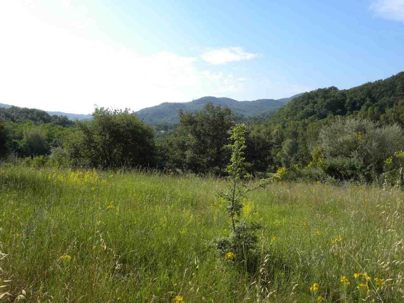 Amiata Immobiliare - Annuncio rif.Az 64 - AGENZIA IMMOBILIARE AMIATA - Case in vendita sul Monte Amiata - Affitti - Ville casali appartamenti in affitto - appartamenti in vendita sull amiata - REAL ESTATE