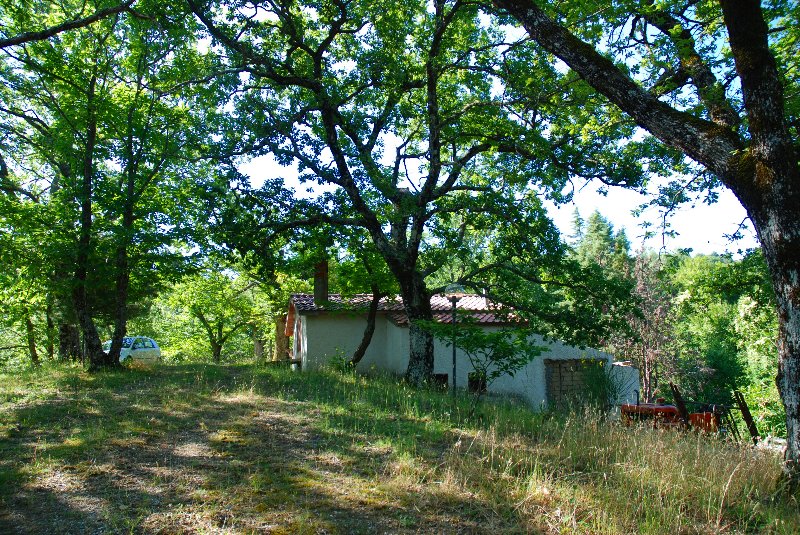 Amiata Immobiliare - Annuncio rif.AZ 59 - AGENZIA IMMOBILIARE AMIATA - Case in vendita sul Monte Amiata - Affitti - Ville casali appartamenti in affitto - appartamenti in vendita sull amiata - REAL ESTATE