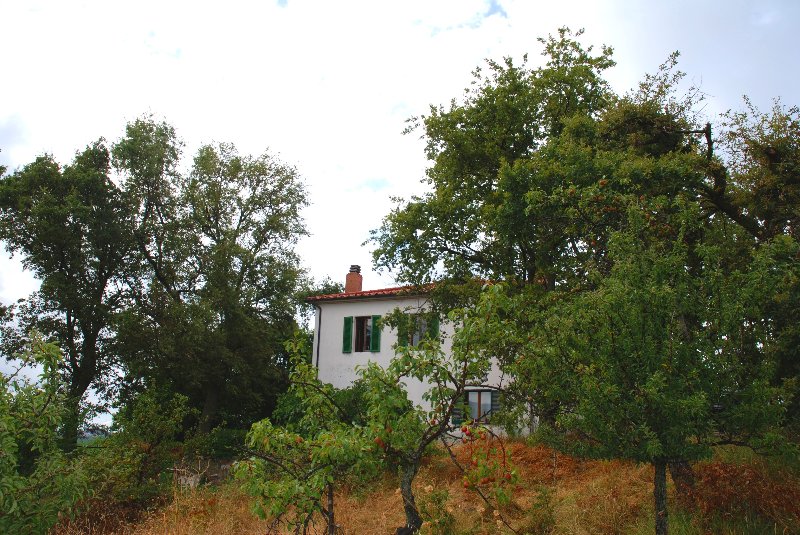 Amiata Immobiliare - Annuncio rif.AZ 2 - AGENZIA IMMOBILIARE AMIATA - Case in vendita sul Monte Amiata - Affitti - Ville casali appartamenti in affitto - appartamenti in vendita sull amiata - REAL ESTATE