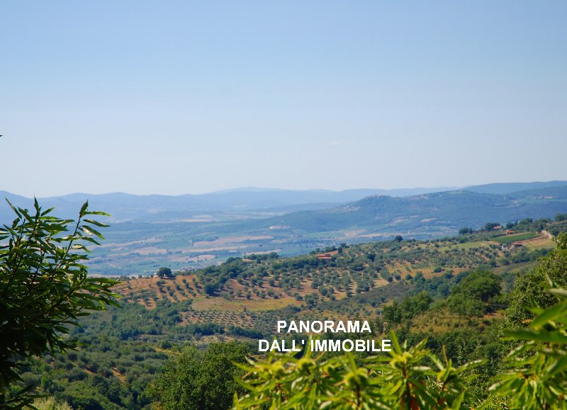 Amiata Immobiliare - Annuncio rif.AZ 69 - AGENZIA IMMOBILIARE AMIATA - Case in vendita sul Monte Amiata - Affitti - Ville casali appartamenti in affitto - appartamenti in vendita sull amiata - REAL ESTATE