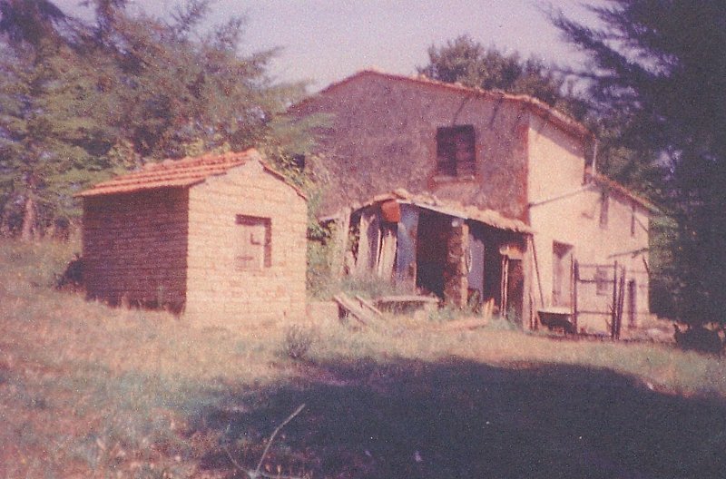 Amiata Immobiliare - Annuncio rif.Az 21 - AGENZIA IMMOBILIARE AMIATA - Case in vendita sul Monte Amiata - Affitti - Ville casali appartamenti in affitto - appartamenti in vendita sull amiata - REAL ESTATE