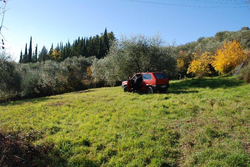 Amiata Immobiliare - Annuncio rif.Az 19 - AGENZIA IMMOBILIARE AMIATA - Case in vendita sul Monte Amiata - Affitti - Ville casali appartamenti in affitto - appartamenti in vendita sull amiata - REAL ESTATE