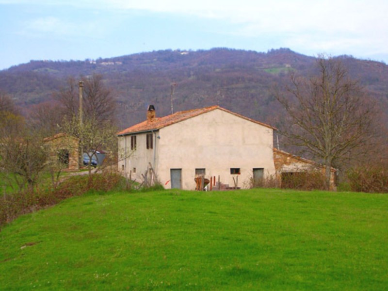 Amiata Immobiliare - Annuncio rif.AZ 17 - AGENZIA IMMOBILIARE AMIATA - Case in vendita sul Monte Amiata - Affitti - Ville casali appartamenti in affitto - appartamenti in vendita sull amiata - REAL ESTATE