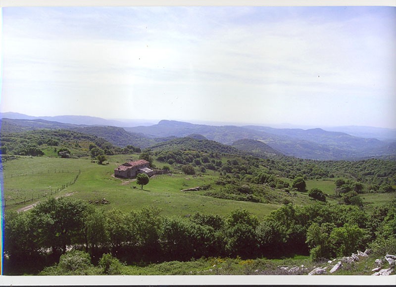 Amiata Immobiliare - Annuncio rif.AZ 32 - AGENZIA IMMOBILIARE AMIATA - Case in vendita sul Monte Amiata - Affitti - Ville casali appartamenti in affitto - appartamenti in vendita sull amiata - REAL ESTATE