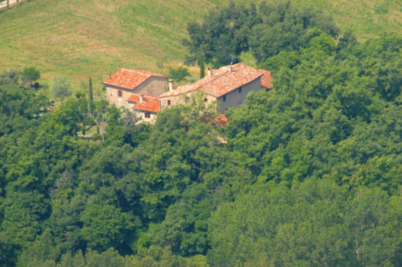 Amiata Immobiliare - Annuncio rif.Az 6 - AGENZIA IMMOBILIARE AMIATA - Case in vendita sul Monte Amiata - Affitti - Ville casali appartamenti in affitto - appartamenti in vendita sull amiata - REAL ESTATE
