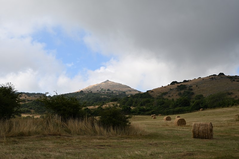 Amiata Immobiliare - Annuncio rif.AZ 206 - AGENZIA IMMOBILIARE AMIATA - Case in vendita sul Monte Amiata - Affitti - Ville casali appartamenti in affitto - appartamenti in vendita sull amiata - REAL ESTATE