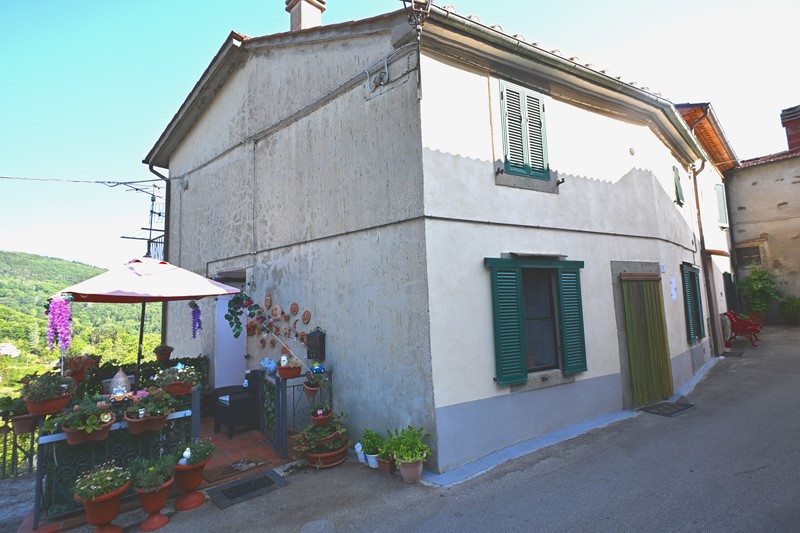 Amiata Immobiliare - Annuncio rif.A 243 - AGENZIA IMMOBILIARE AMIATA - Case in vendita sul Monte Amiata - Affitti - Ville casali appartamenti in affitto - appartamenti in vendita sull amiata - REAL ESTATE