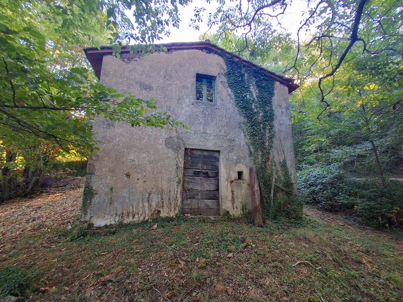 Amiata Immobiliare - Annuncio rif.AZ 271 - AGENZIA IMMOBILIARE AMIATA - Case in vendita sul Monte Amiata - Affitti - Ville casali appartamenti in affitto - appartamenti in vendita sull amiata - REAL ESTATE