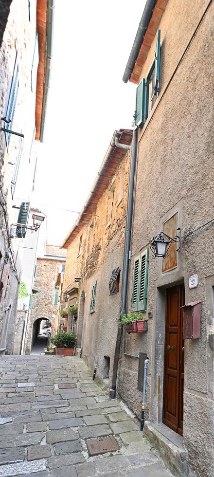 Amiata Immobiliare - Annuncio rif.A 267 - AGENZIA IMMOBILIARE AMIATA - Case in vendita sul Monte Amiata - Affitti - Ville casali appartamenti in affitto - appartamenti in vendita sull amiata - REAL ESTATE