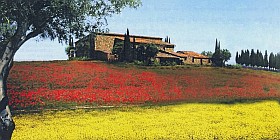 Casali da ristrutturare e ristrutturati in Toscana